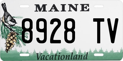 ME license plate 8928TV