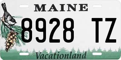 ME license plate 8928TZ