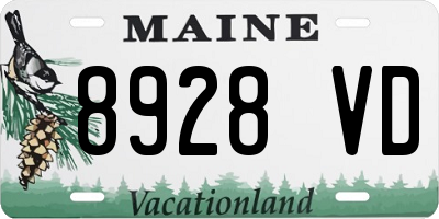 ME license plate 8928VD