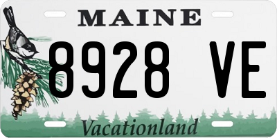 ME license plate 8928VE