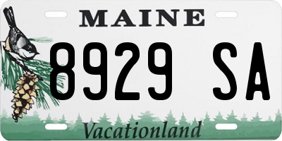 ME license plate 8929SA