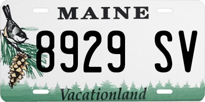 ME license plate 8929SV