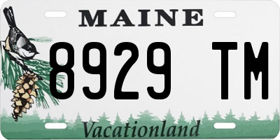 ME license plate 8929TM
