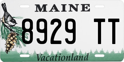 ME license plate 8929TT