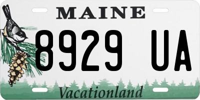 ME license plate 8929UA