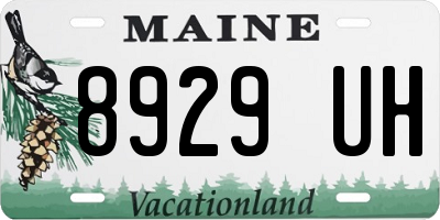 ME license plate 8929UH