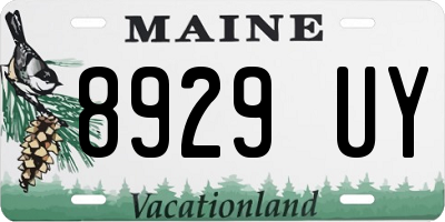 ME license plate 8929UY