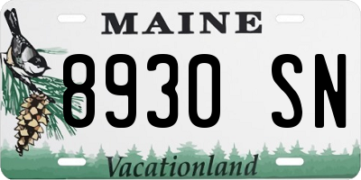 ME license plate 8930SN