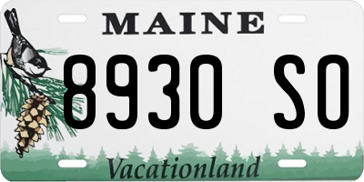 ME license plate 8930SO