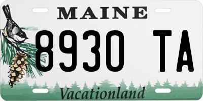 ME license plate 8930TA