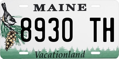 ME license plate 8930TH