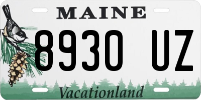 ME license plate 8930UZ