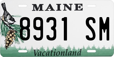 ME license plate 8931SM