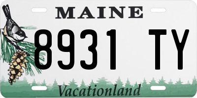 ME license plate 8931TY