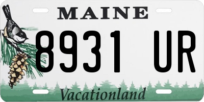 ME license plate 8931UR