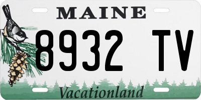 ME license plate 8932TV