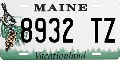 ME license plate 8932TZ