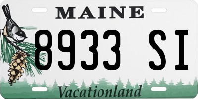 ME license plate 8933SI