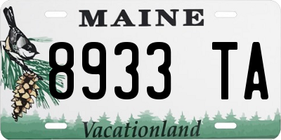 ME license plate 8933TA