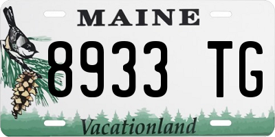 ME license plate 8933TG