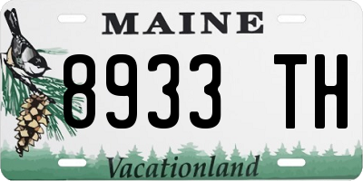 ME license plate 8933TH