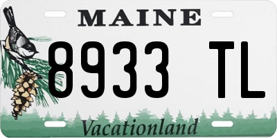 ME license plate 8933TL