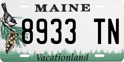 ME license plate 8933TN