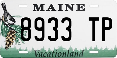 ME license plate 8933TP