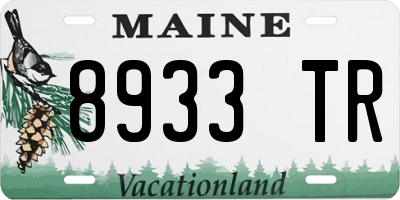 ME license plate 8933TR
