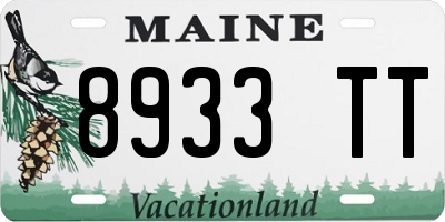 ME license plate 8933TT