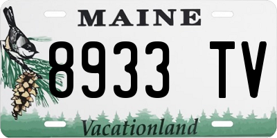 ME license plate 8933TV
