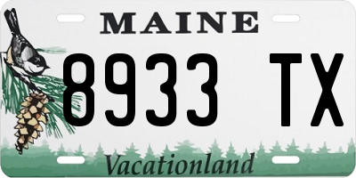 ME license plate 8933TX