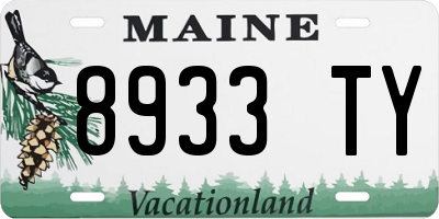 ME license plate 8933TY