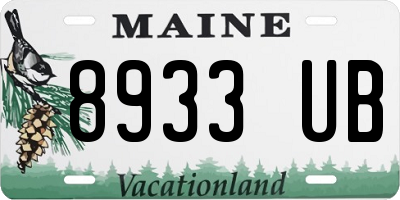ME license plate 8933UB
