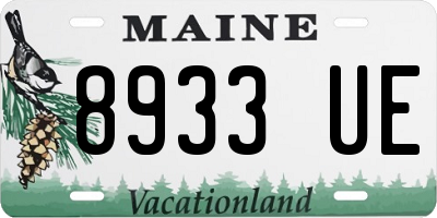 ME license plate 8933UE