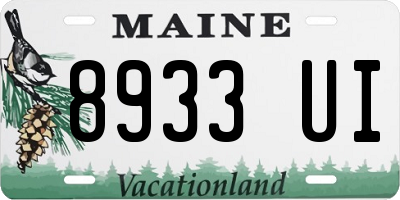 ME license plate 8933UI