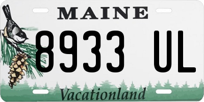 ME license plate 8933UL