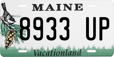 ME license plate 8933UP