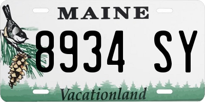 ME license plate 8934SY