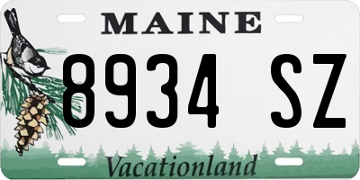 ME license plate 8934SZ