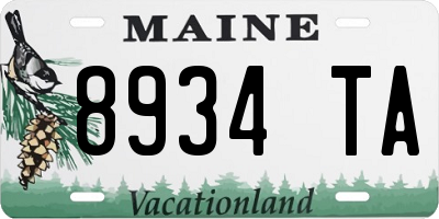 ME license plate 8934TA