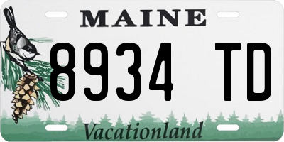 ME license plate 8934TD