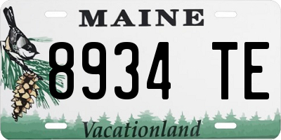 ME license plate 8934TE