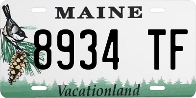 ME license plate 8934TF