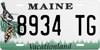 ME license plate 8934TG