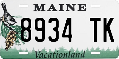 ME license plate 8934TK