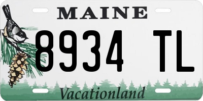 ME license plate 8934TL
