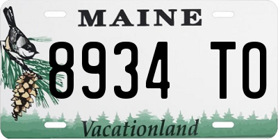 ME license plate 8934TO