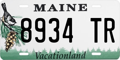 ME license plate 8934TR