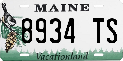 ME license plate 8934TS
